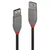 CABLE USB2 TYPE A 0.2M/ANTHRA 36700 LINDY