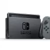 Nintendo Switch Gray Joy-Con V2 (10002431)